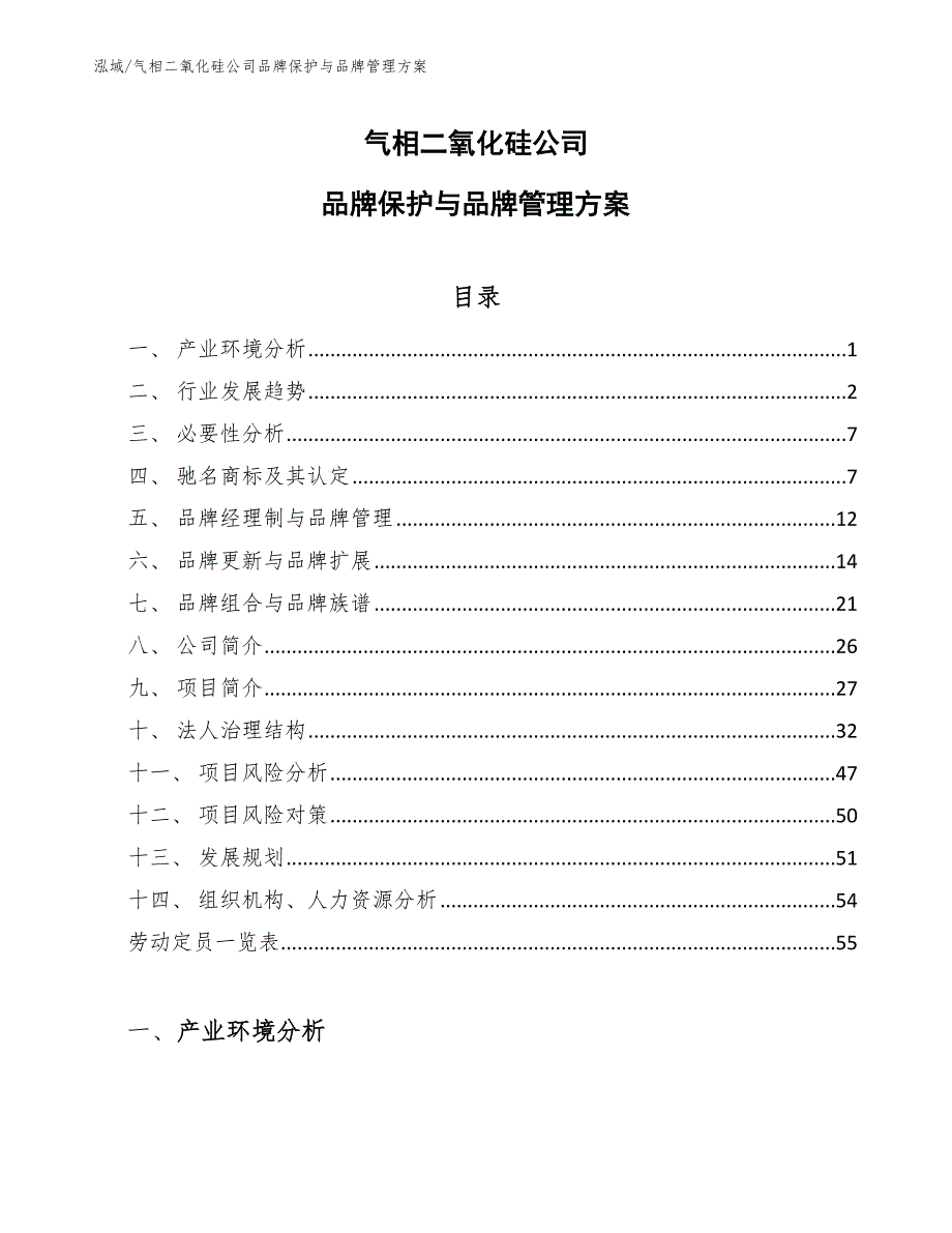 气相二氧化硅公司品牌保护与品牌管理方案_参考_第1页