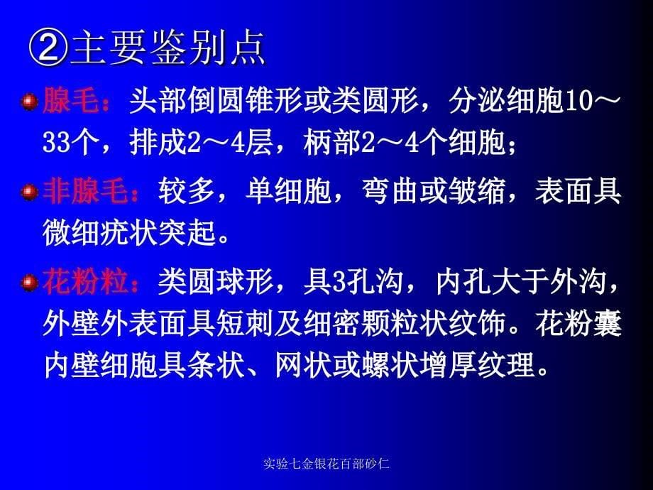 实验七金银花百部砂仁课件_第5页