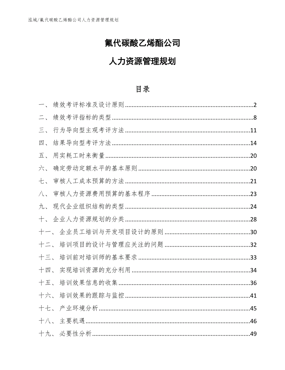 氟代碳酸乙烯酯公司人力资源管理规划_范文_第1页