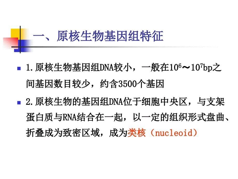 第二章基因组与基因组学.ppt_第5页