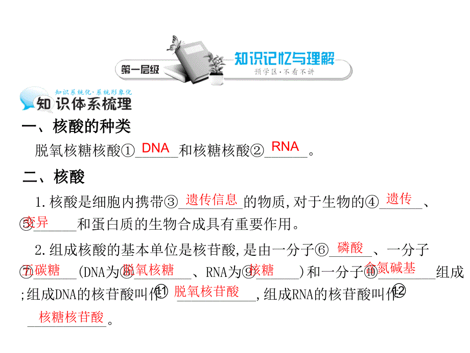 遗传信息的携带者——核酸44人教课标版课件_第3页