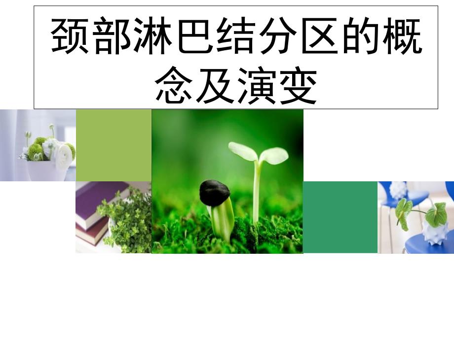 颈部淋巴结分区的概念及演变_第1页