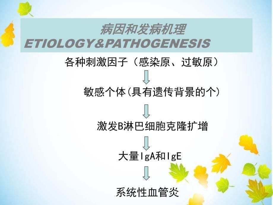 过敏性紫癜个人整理_第5页