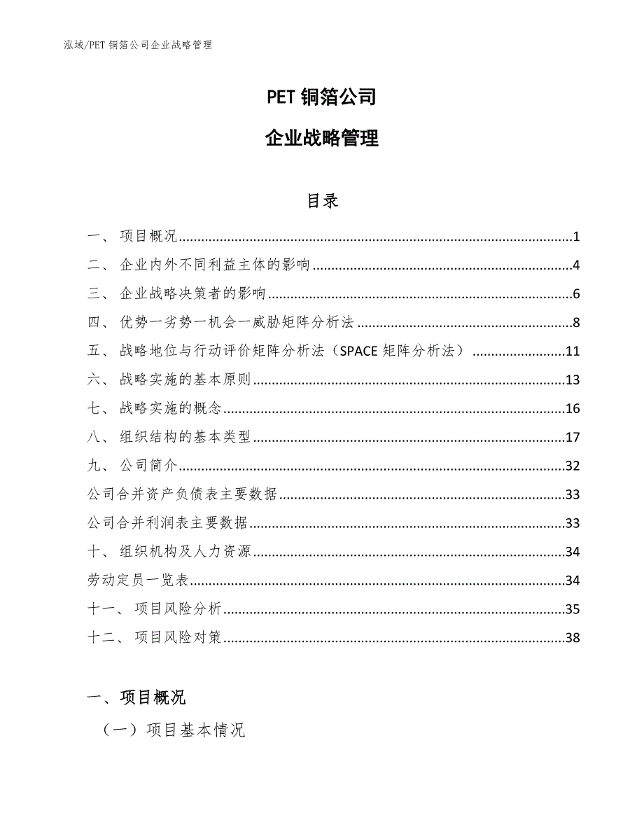 PET铜箔公司企业战略管理_第1页