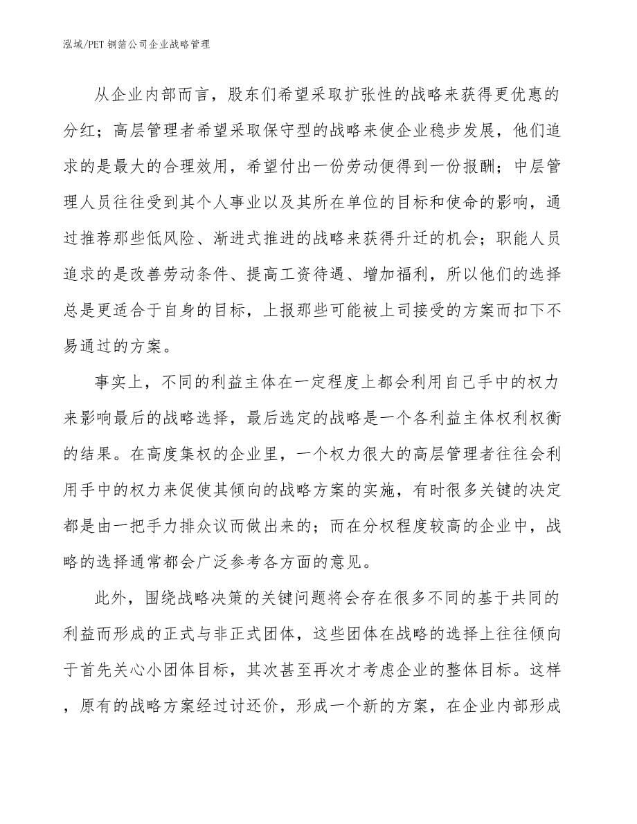 PET铜箔公司企业战略管理_第5页