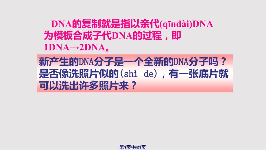 DNA的复制实用教案_第1页