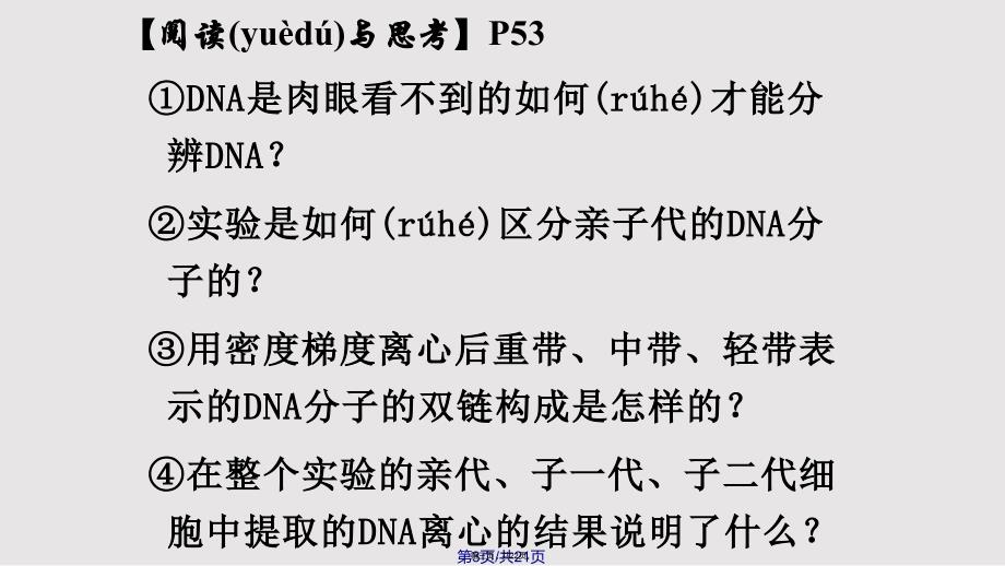 DNA的复制实用教案_第3页