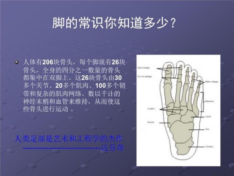 鞋类专业知识皮鞋结构课件_第2页