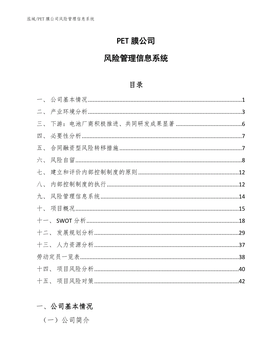 PET膜公司风险管理信息系统【范文】_第1页