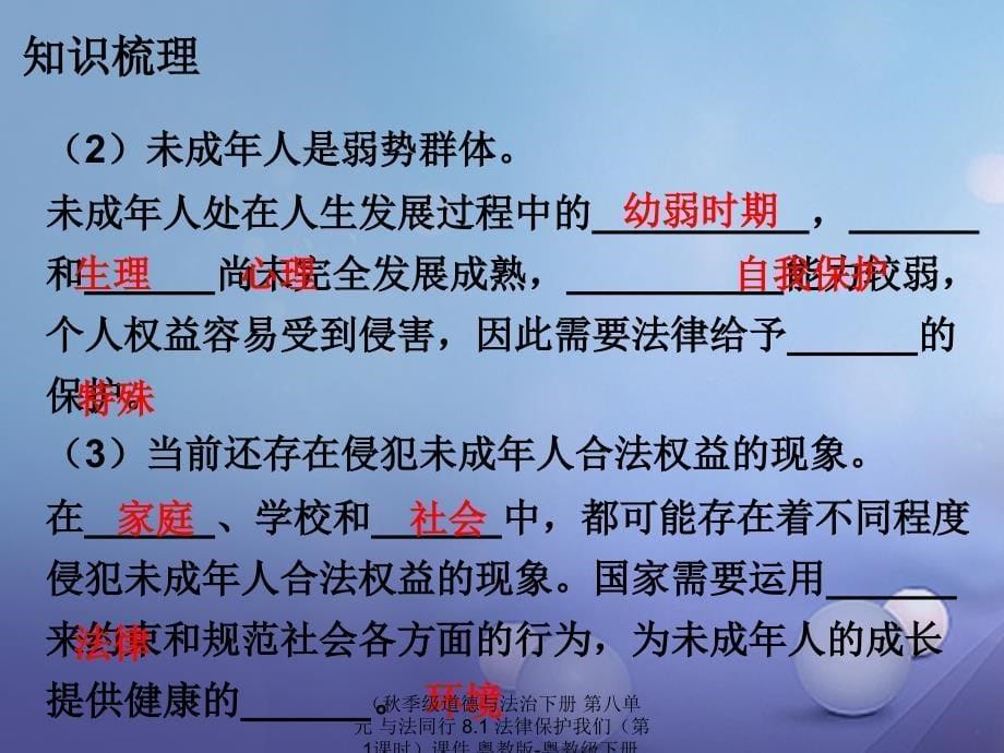 最新道德与法治下册第八单元与法同行8.1法律保护我们第1课时课件粤教版粤教下册政治课件_第5页