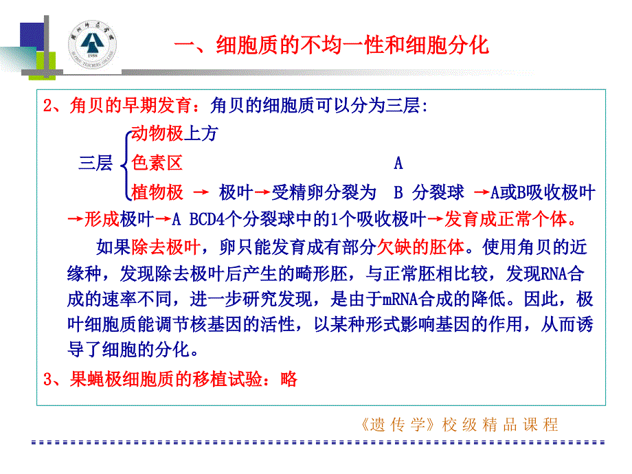 遗传与个体发育文档资料_第4页