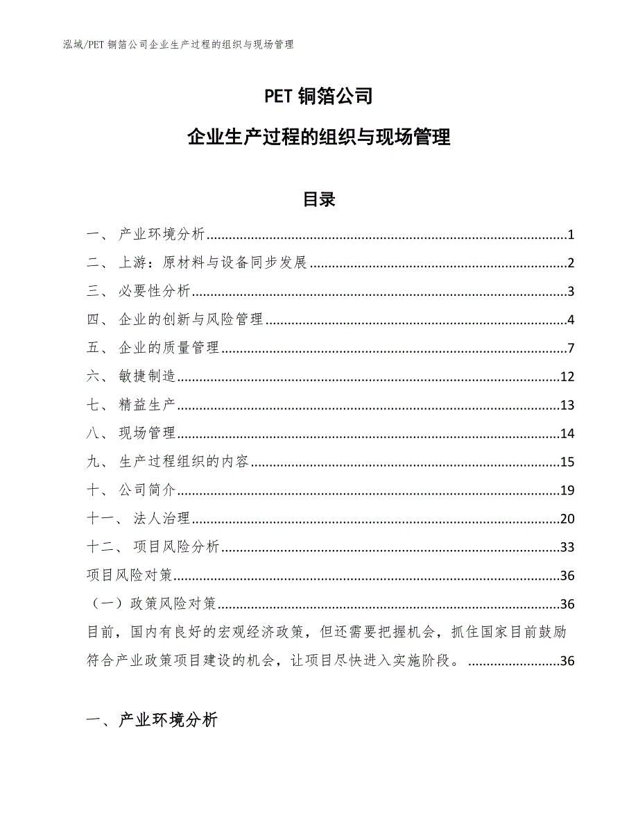 PET铜箔公司企业生产过程的组织与现场管理_第1页