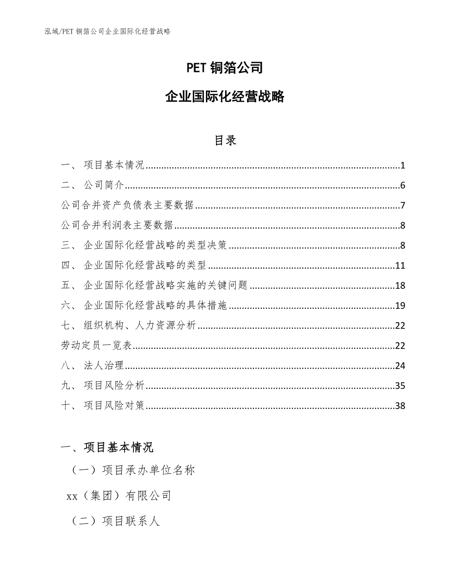 PET铜箔公司企业国际化经营战略_参考_第1页