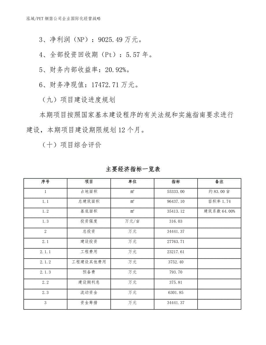 PET铜箔公司企业国际化经营战略_参考_第5页