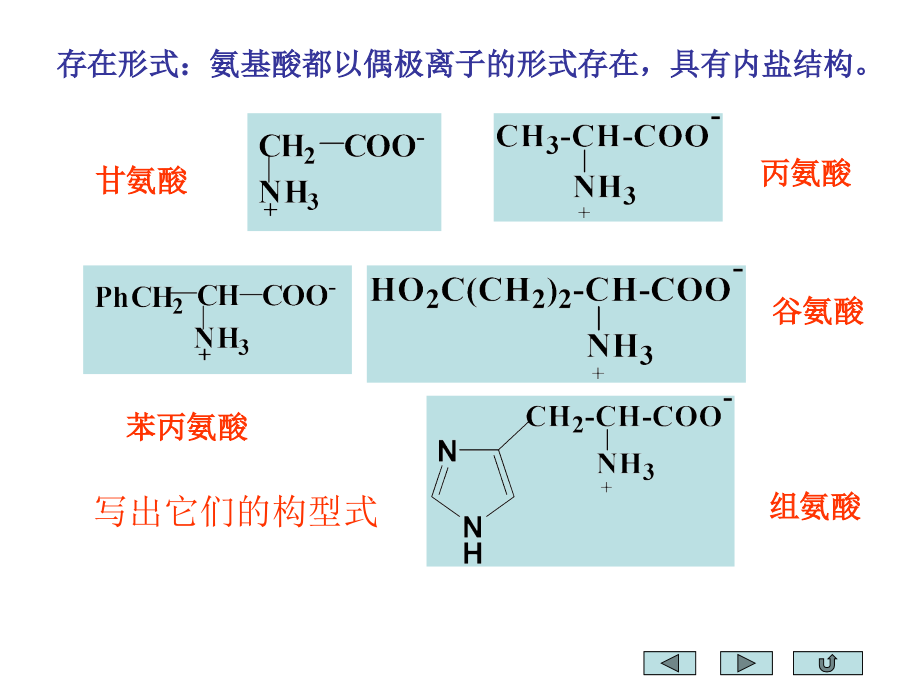 基础有机化学课件：氨基酸、多肽、蛋白质和核酸_第4页