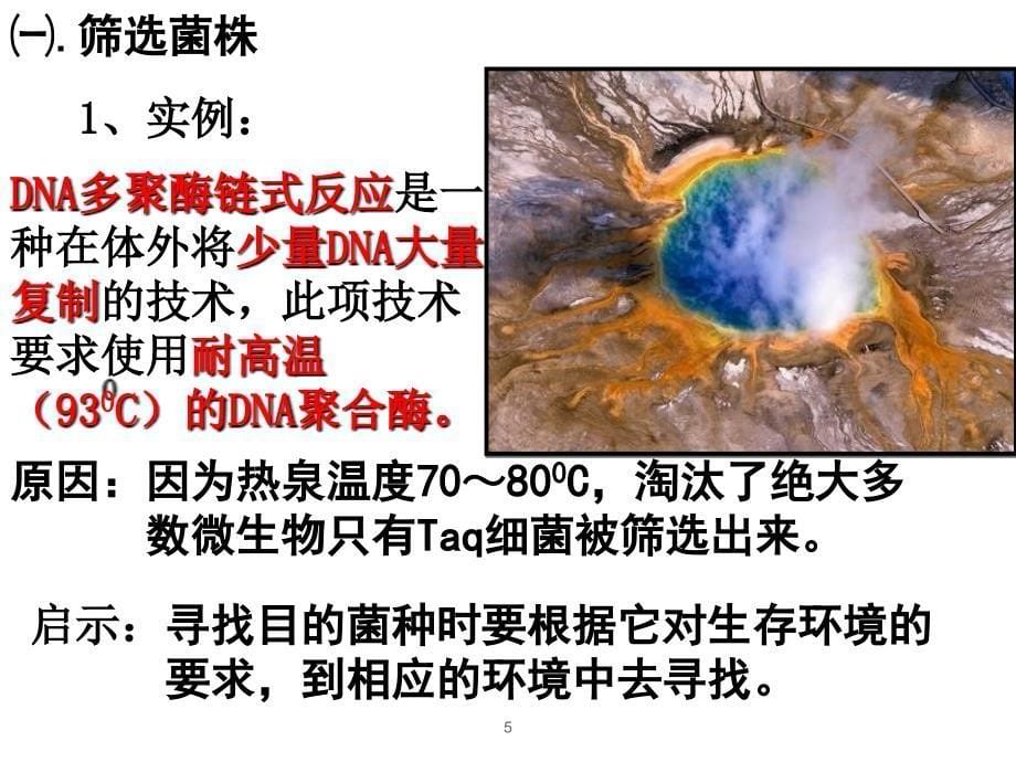 土壤中分解尿素的细菌的分离与计数定稿ppt课件_第5页