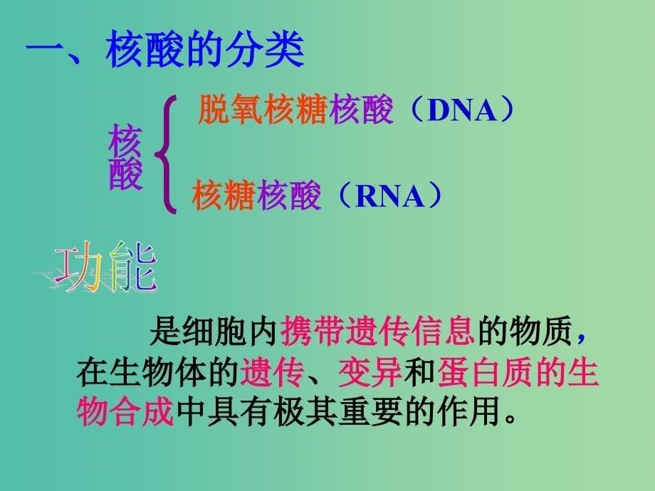 高中生物第二章组成细胞的分子2.3遗传信息的携带者-核酸课件1新人教版.ppt_第5页