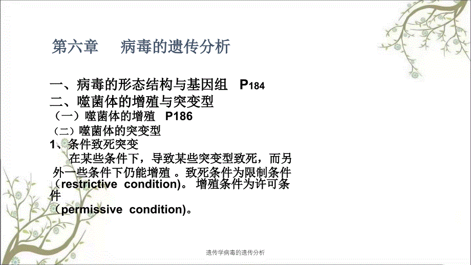 遗传学病毒的遗传分析_第1页