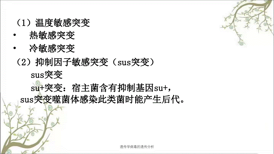 遗传学病毒的遗传分析_第2页