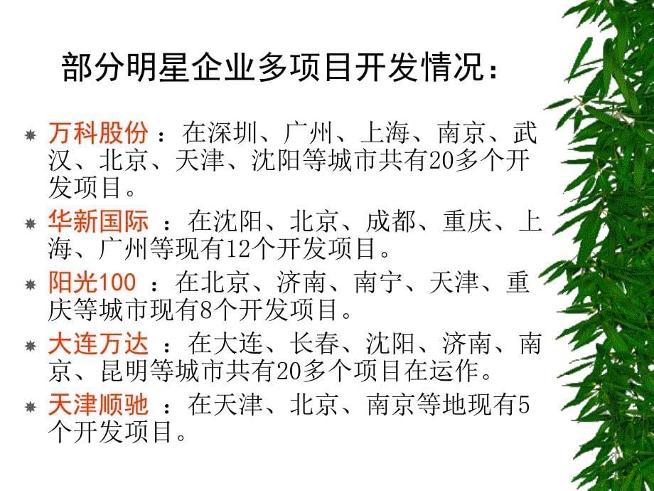 房地产开发企业多项目管理体系设计_第5页