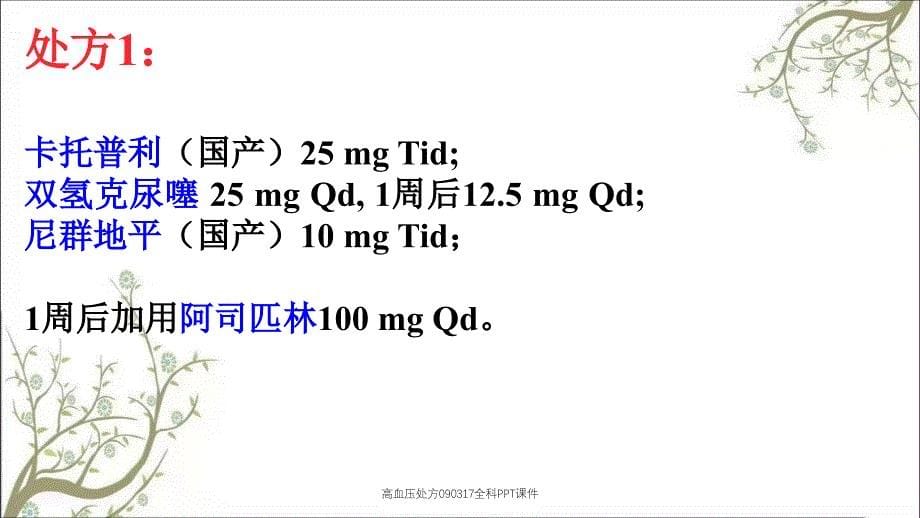 高血压处方090317全科PPT课件_第5页