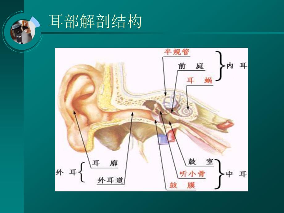 胆脂瘤型中耳炎_第4页