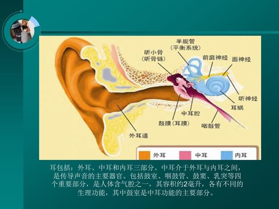 胆脂瘤型中耳炎_第5页