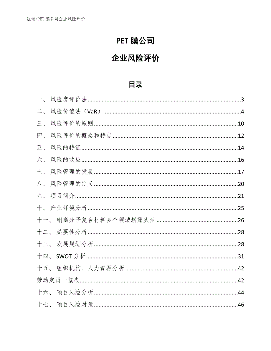 PET膜公司企业风险评价（范文）_第1页