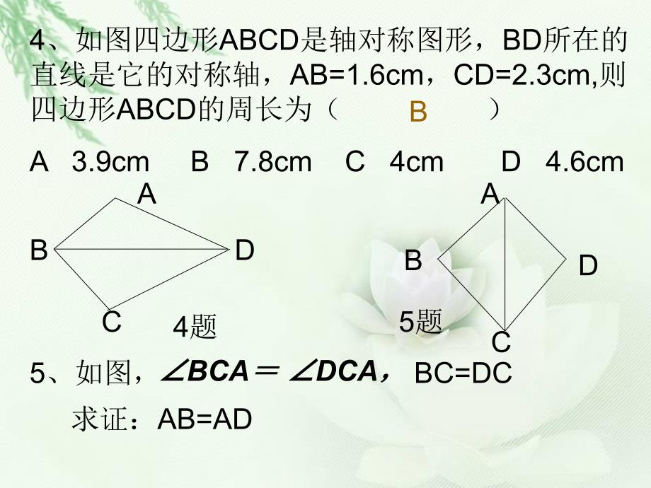 十二轴对称复习(一)_第4页