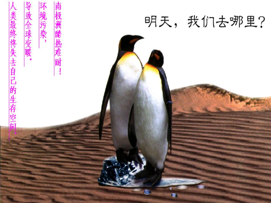 水土流失加剧地表支离破碎土壤受侵蚀课件_第1页