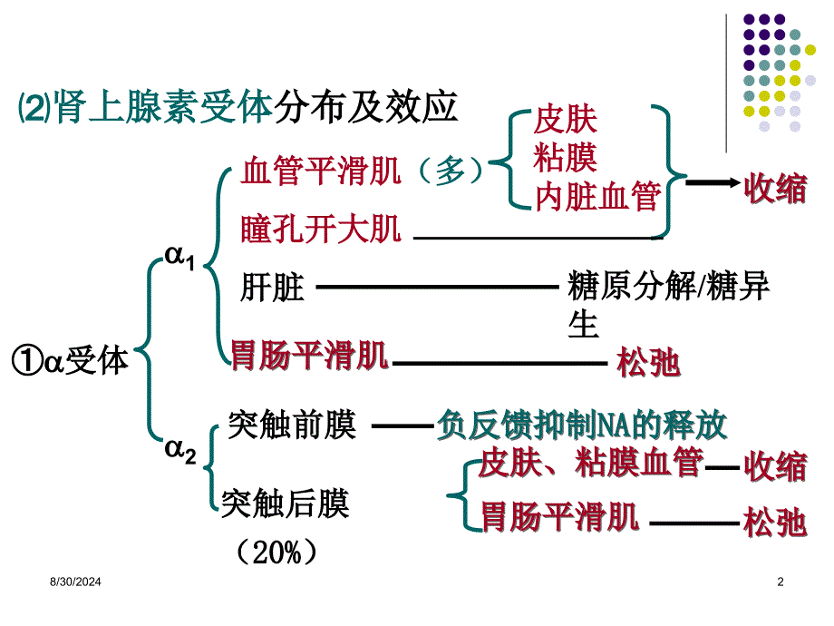 肾上腺素受体激动药_第2页