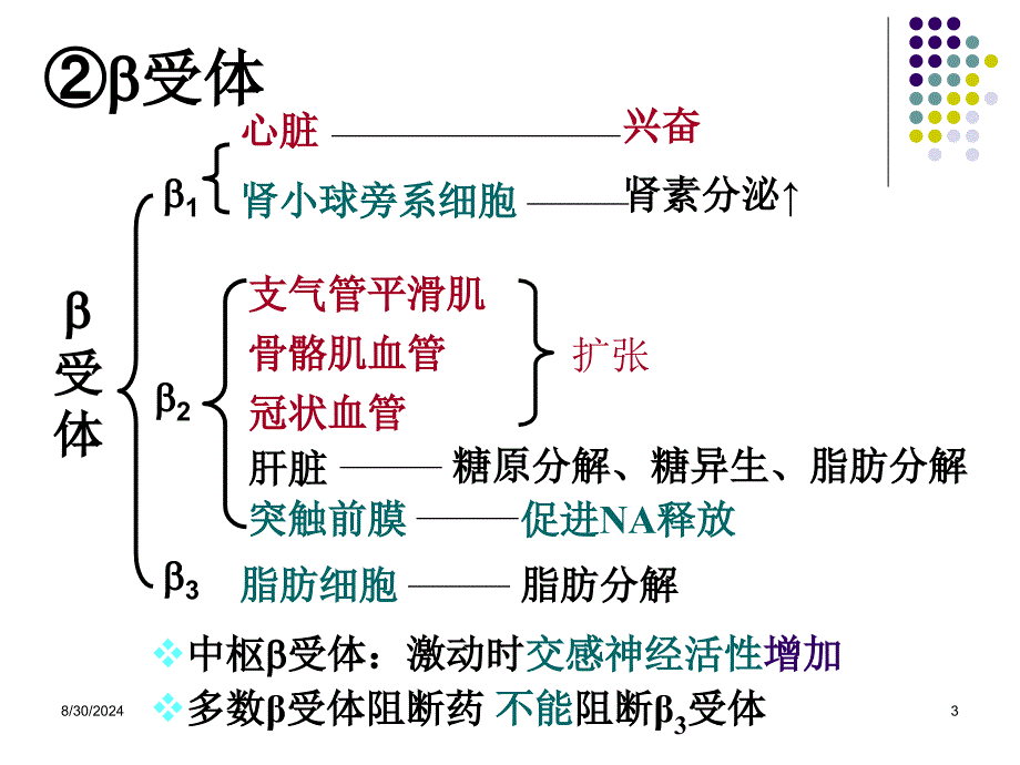 肾上腺素受体激动药_第3页