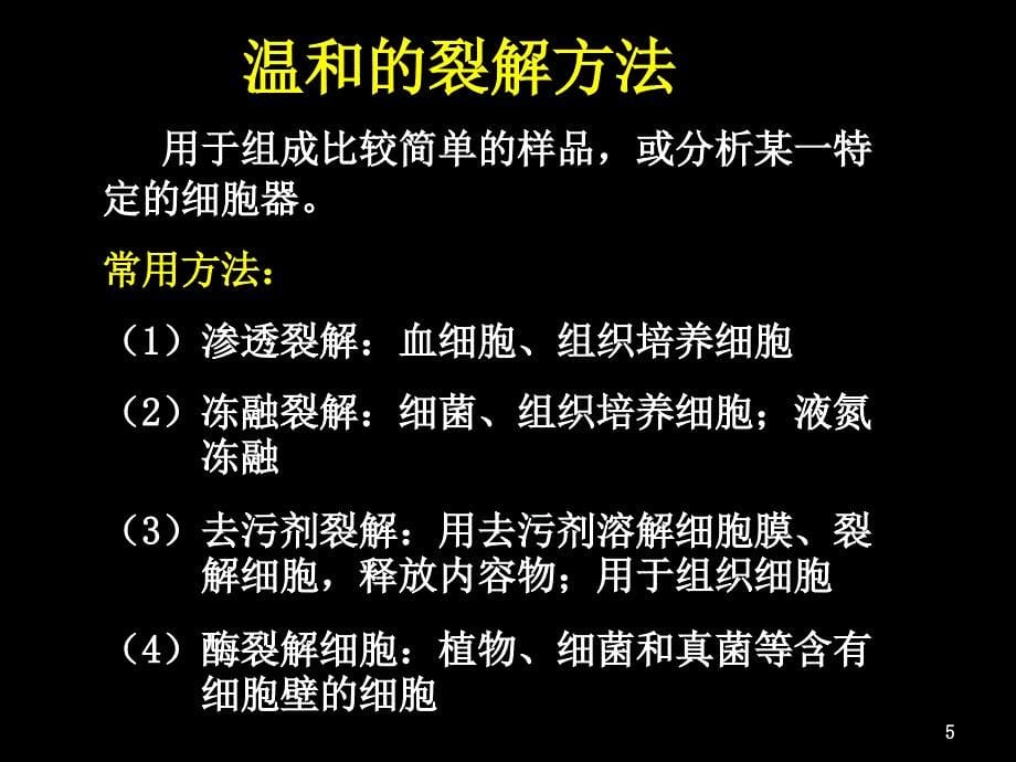 蛋白质的提取与分离分离_第5页