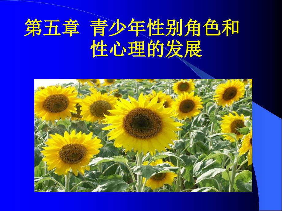 青少年心理学第五章.ppt_第2页