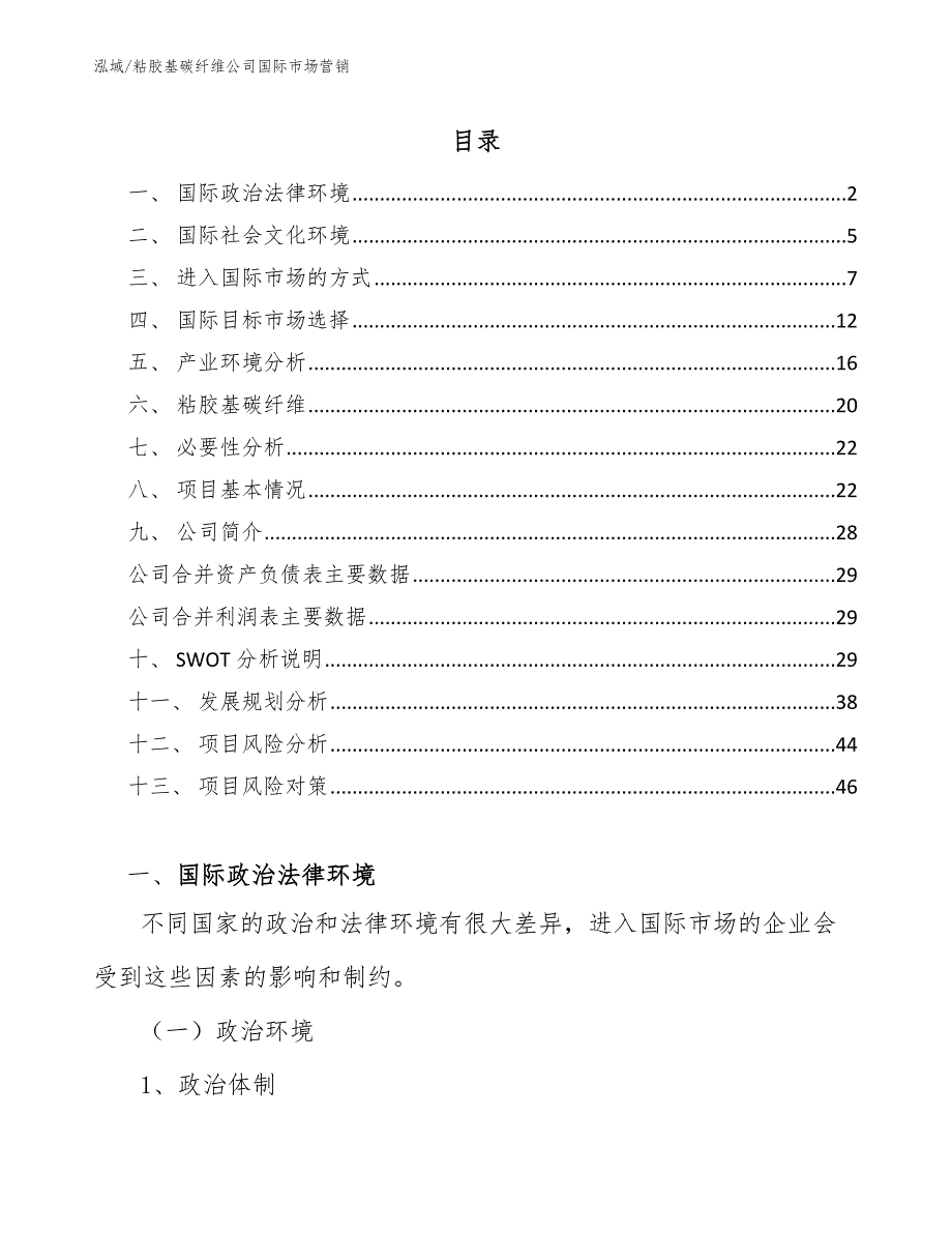 粘胶基碳纤维公司国际市场营销【范文】_第2页