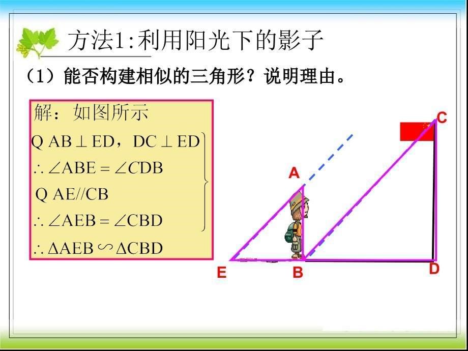 新北师大九年级上4.6利用相似三角形测高课件_第5页