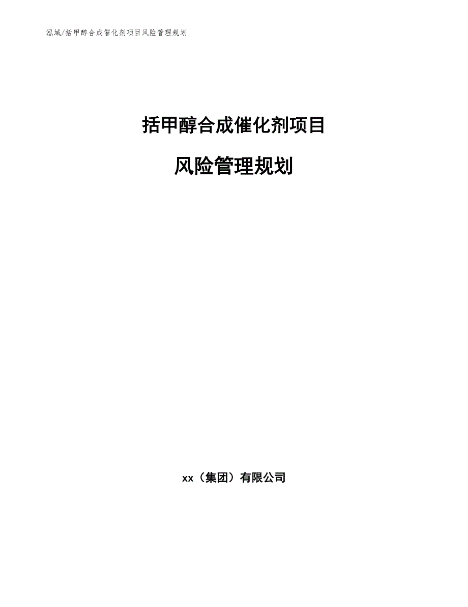 括甲醇合成催化剂项目风险管理规划_第1页