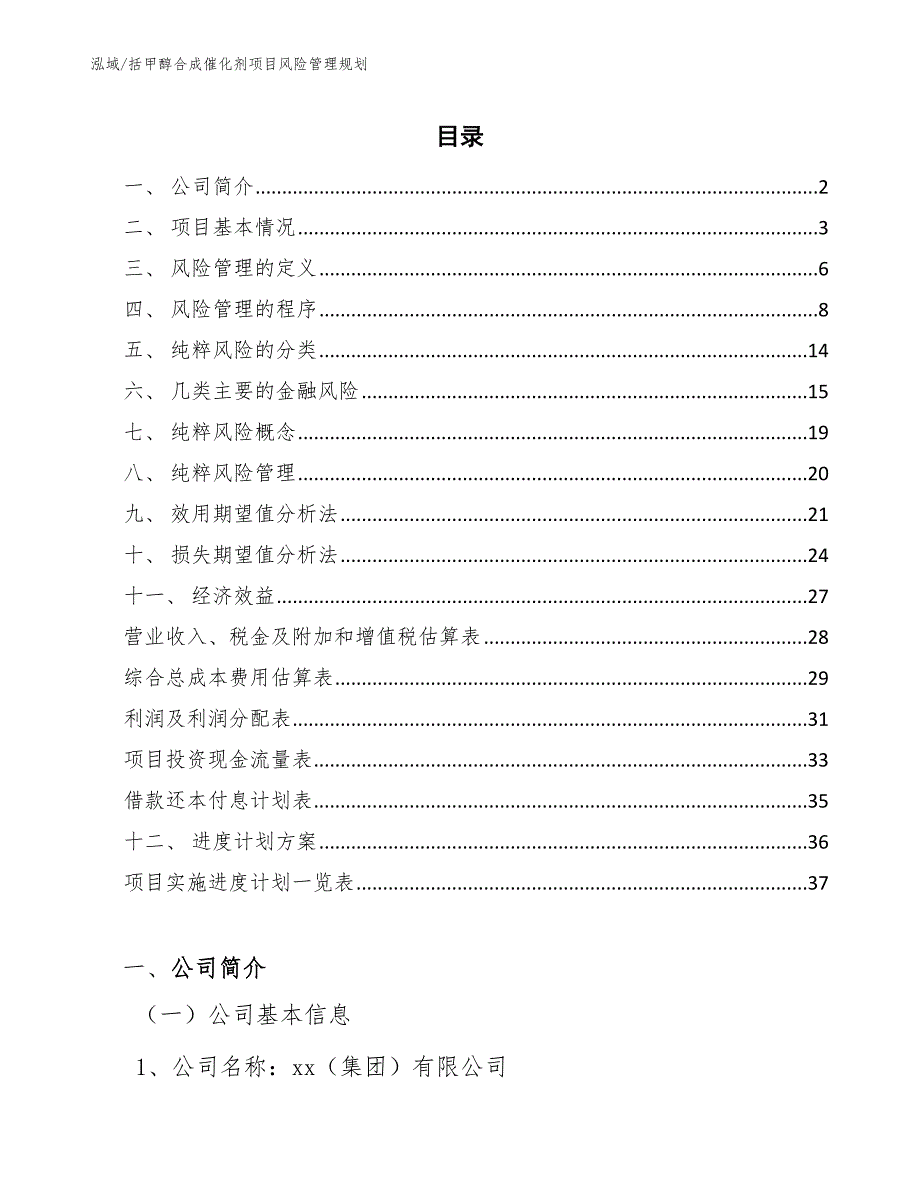 括甲醇合成催化剂项目风险管理规划_第2页