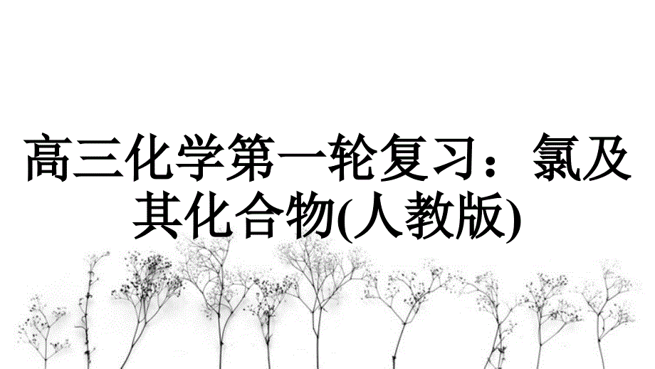 高三化学第一轮复习氯及其化合物人教版_第1页