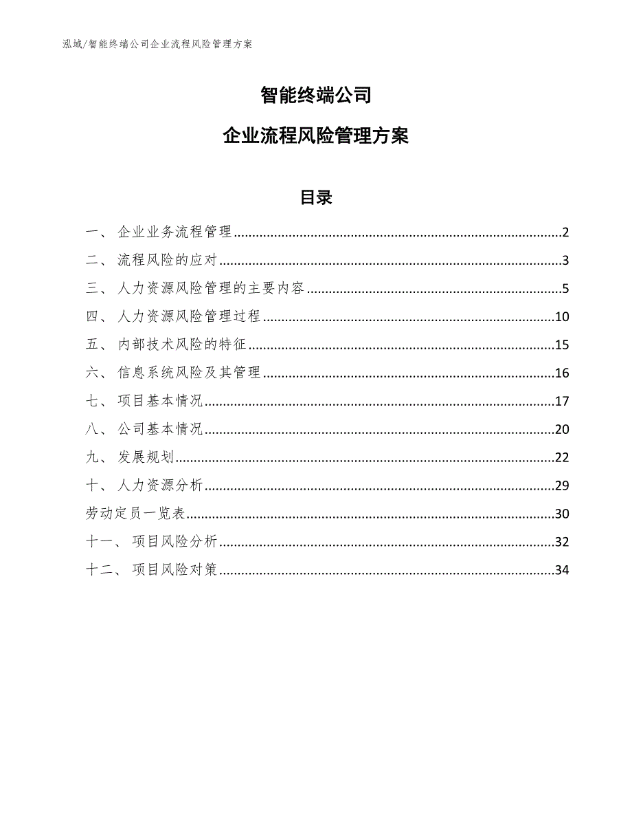 智能终端公司企业流程风险管理方案【参考】_第1页