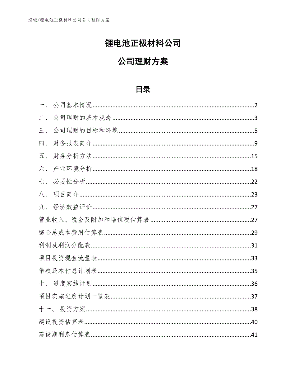 锂电池正极材料公司公司理财方案_第1页