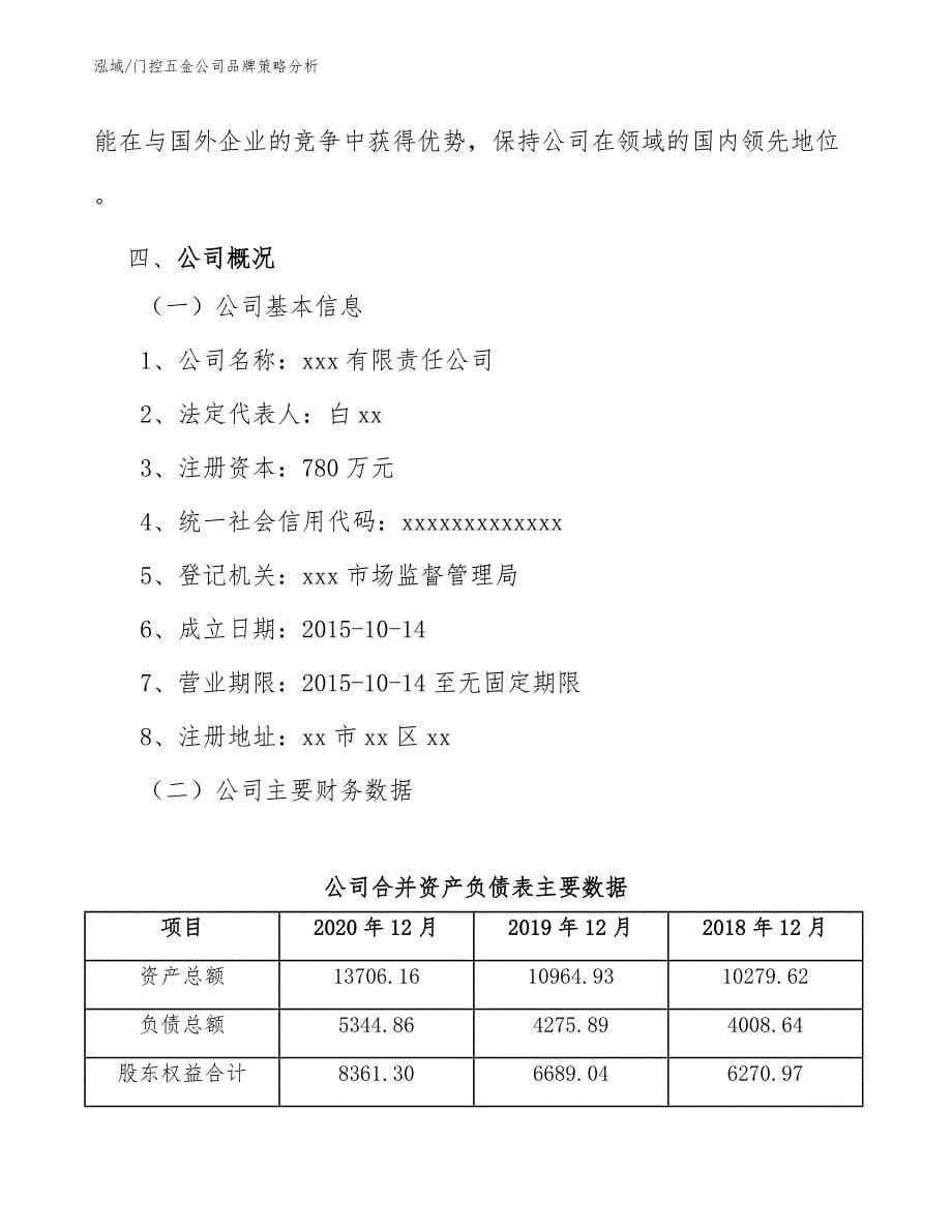 门控五金公司品牌策略分析_第5页