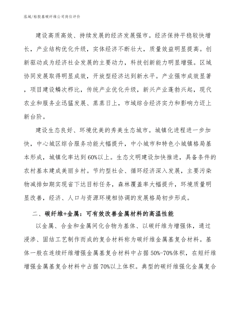 粘胶基碳纤维公司岗位评价_第3页