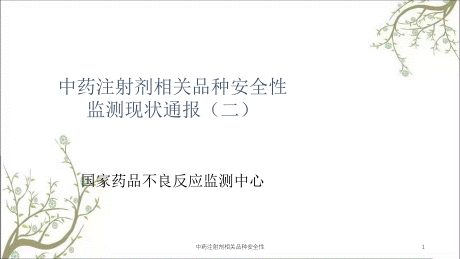 中药注射剂相关品种安全性课件_第1页