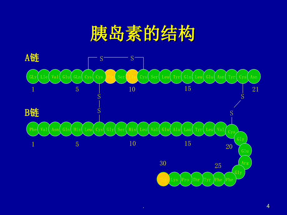 胰岛素的种类及用法PPT文档资料_第4页