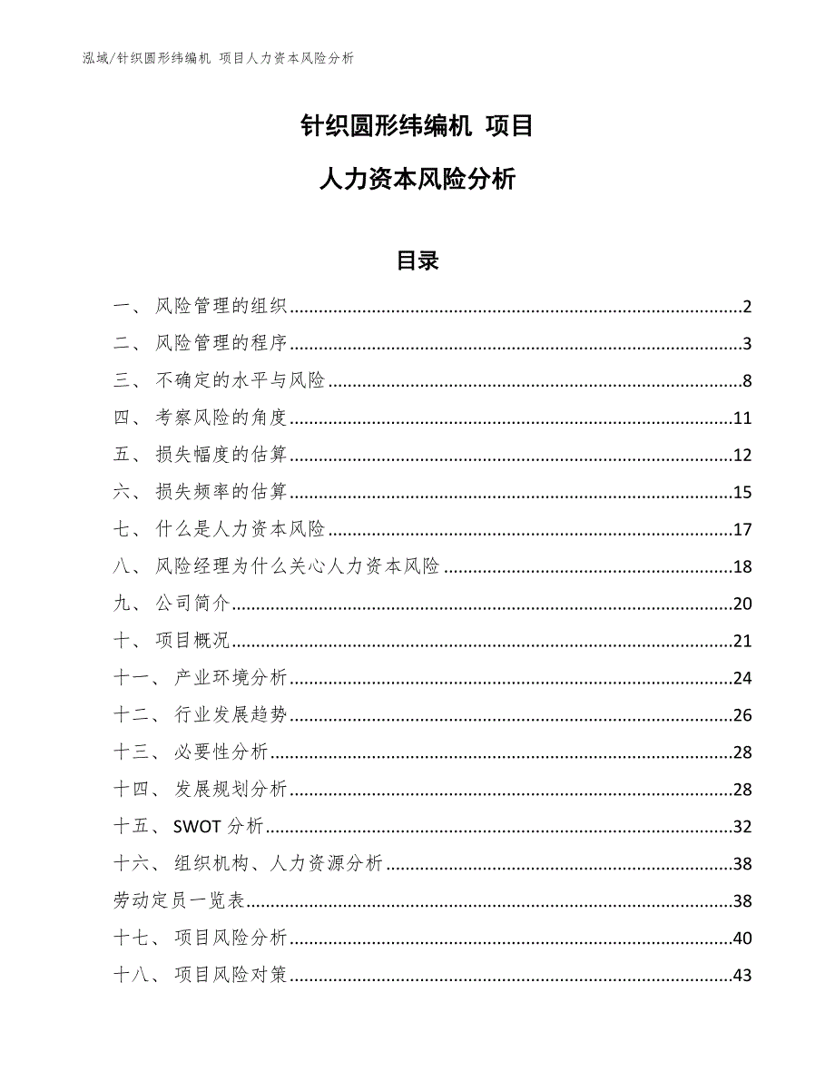 针织圆形纬编机 项目人力资本风险分析【参考】_第1页