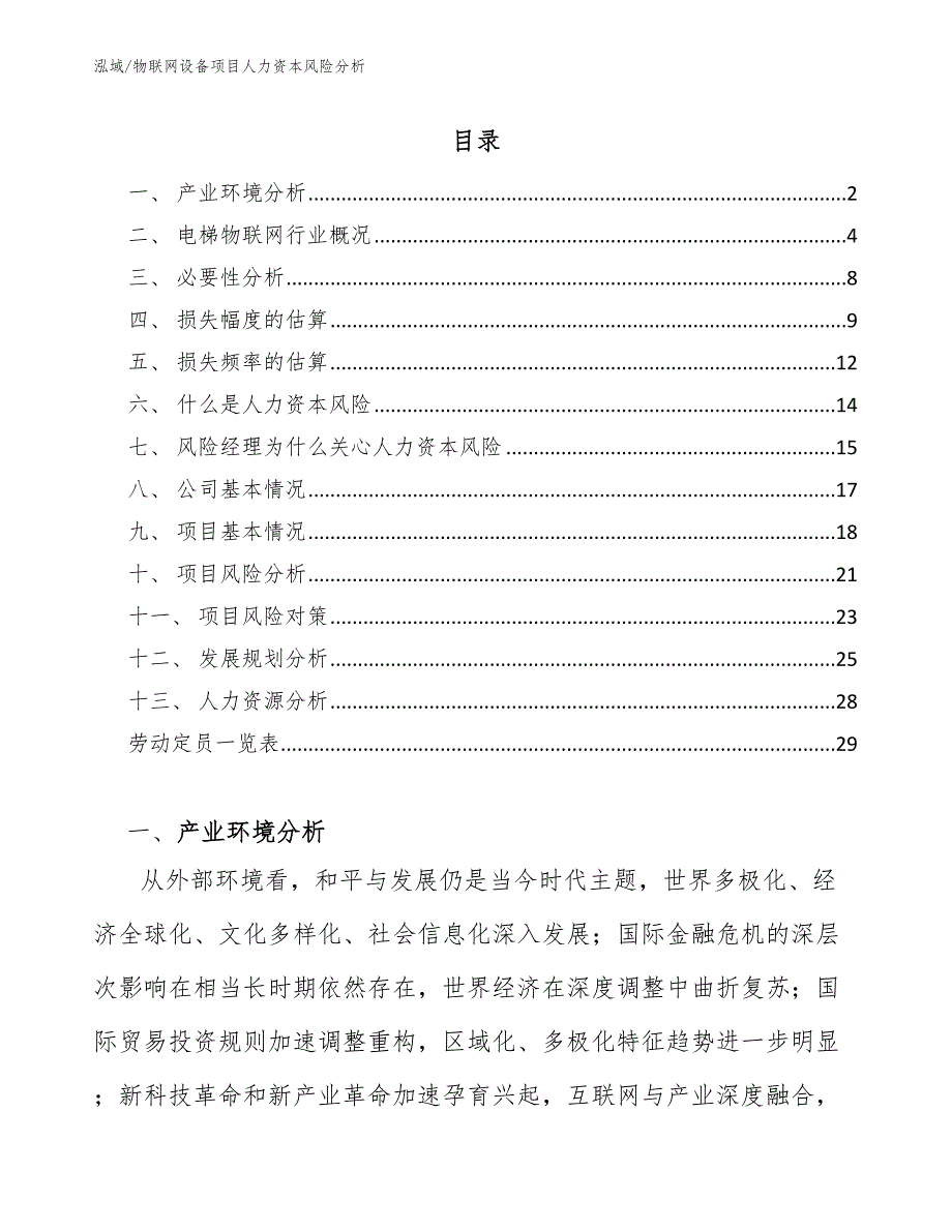 物联网设备项目人力资本风险分析_范文_第2页