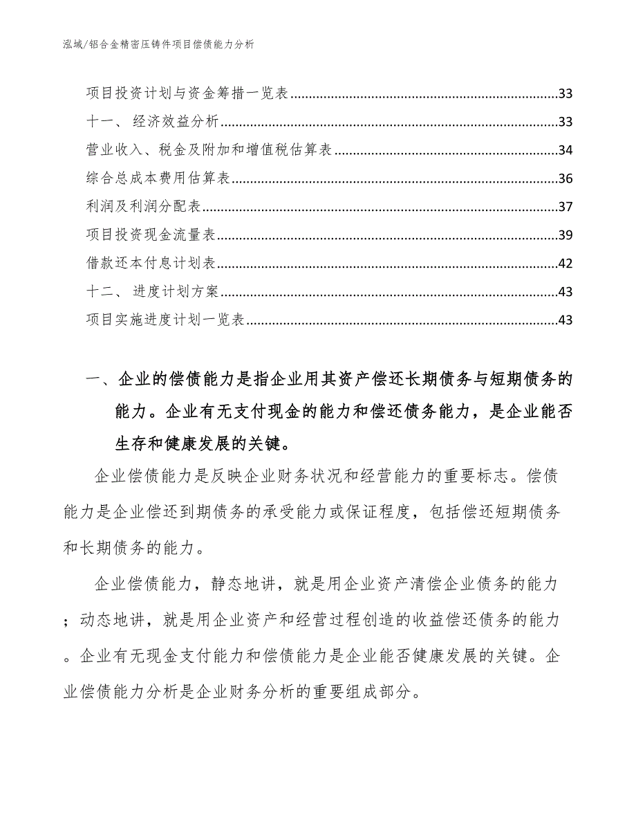 铝合金精密压铸件项目偿债能力分析（范文）_第3页