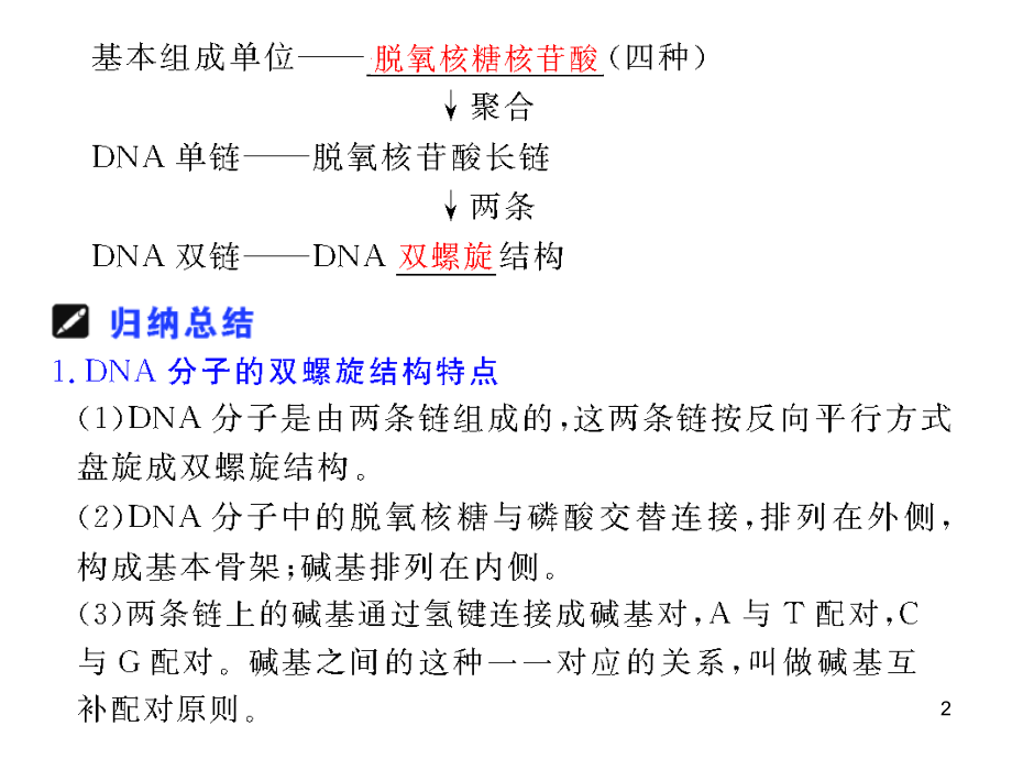 2022届高三生物一轮复习课件第24讲DNA的结构和DNA的复制苏教版_第2页