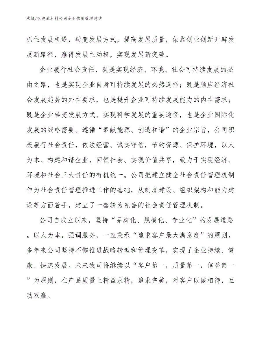 钒电池材料公司企业信用管理总结（参考）_第3页